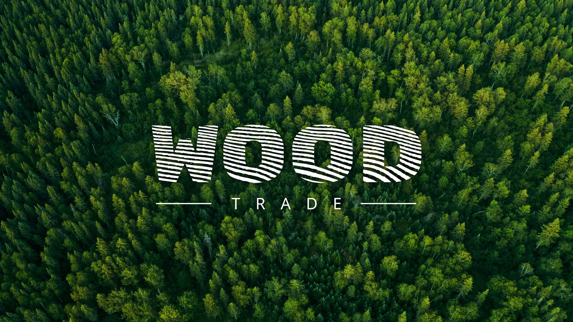 Разработка интернет-магазина компании «Wood Trade» в Нурлате